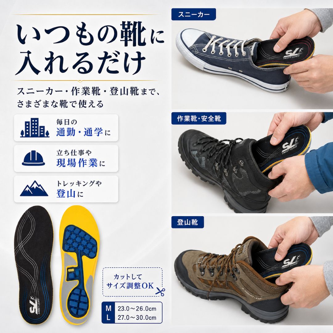 いつもの靴に入れるだけ